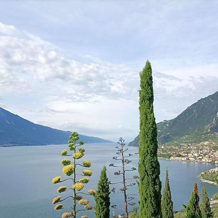 Centro Vacanze La Limonaia Лимоне-суль-Гарда Экстерьер фото